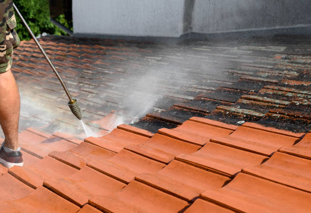 Best Deck Pressure Washing  in Niwot, CO