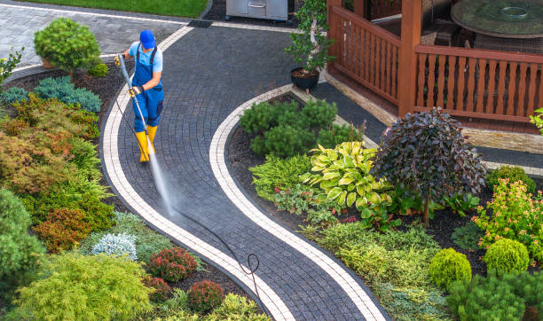Best Residential Pressure Washing Services  in Niwot, CO